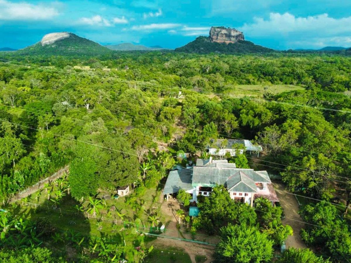 Sinhagiri Villa Sigiriya Buitenkant foto