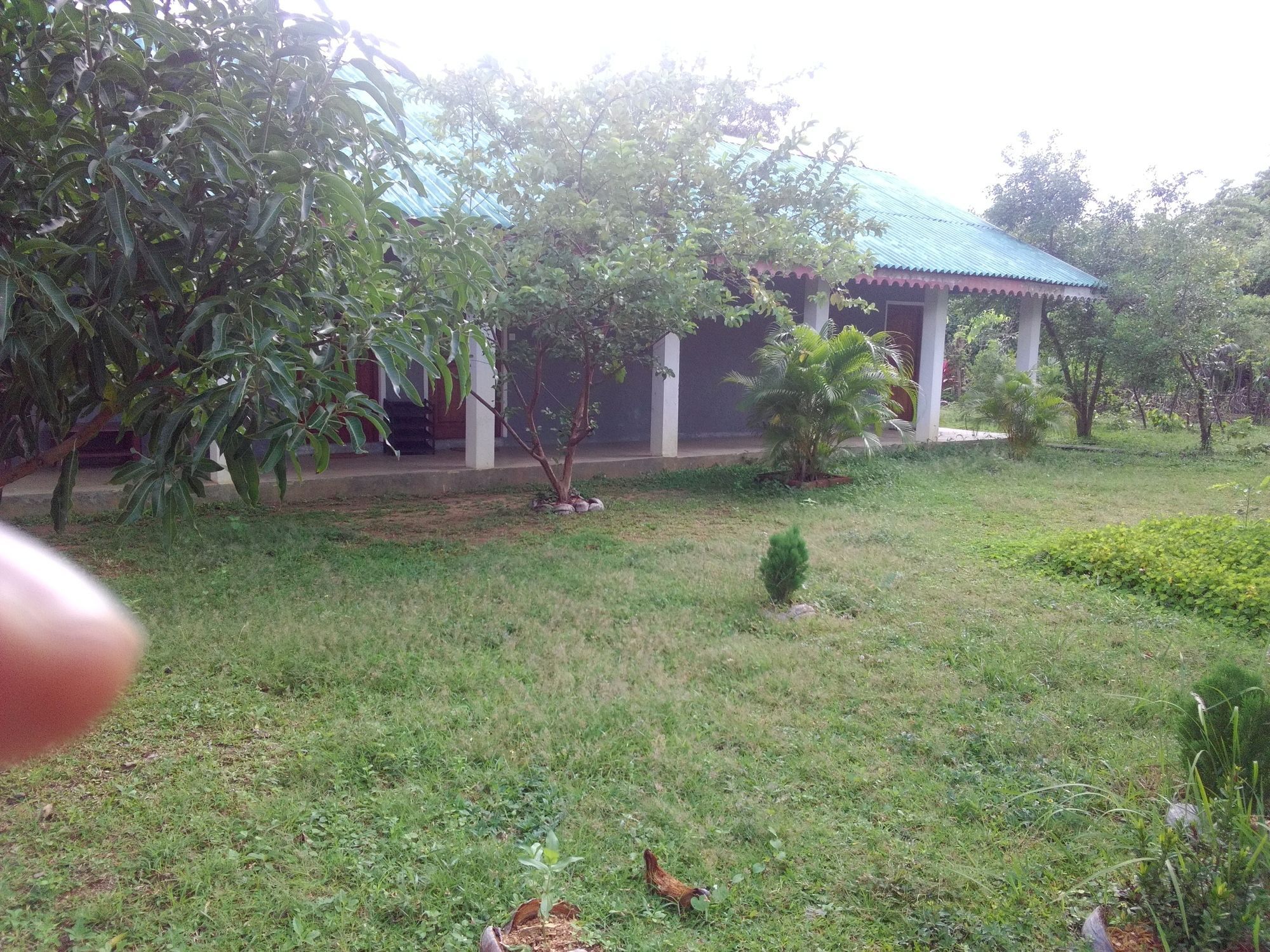 Sinhagiri Villa Sigiriya Buitenkant foto