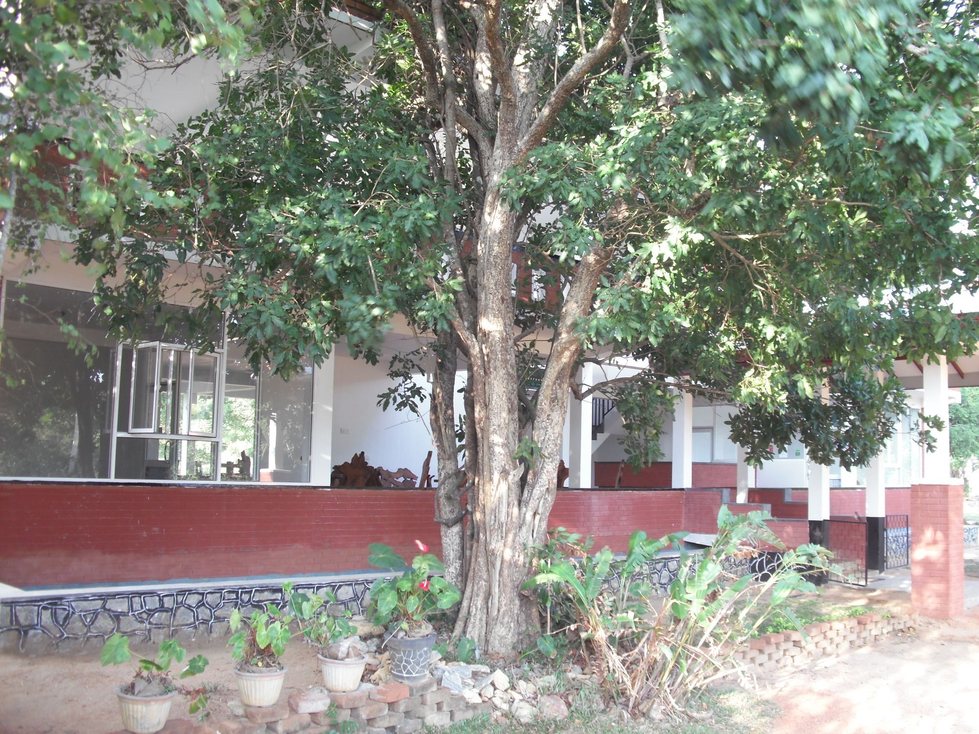 Sinhagiri Villa Sigiriya Buitenkant foto